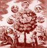 The Alchemical Tree