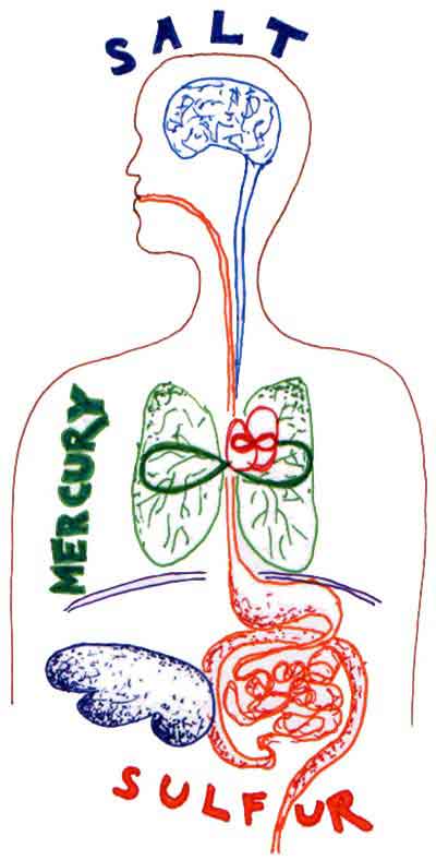 Salt, Sulfur, and Mercury in Man