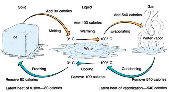 how the temperature of 1 gram of water in its three forms (ice, water,